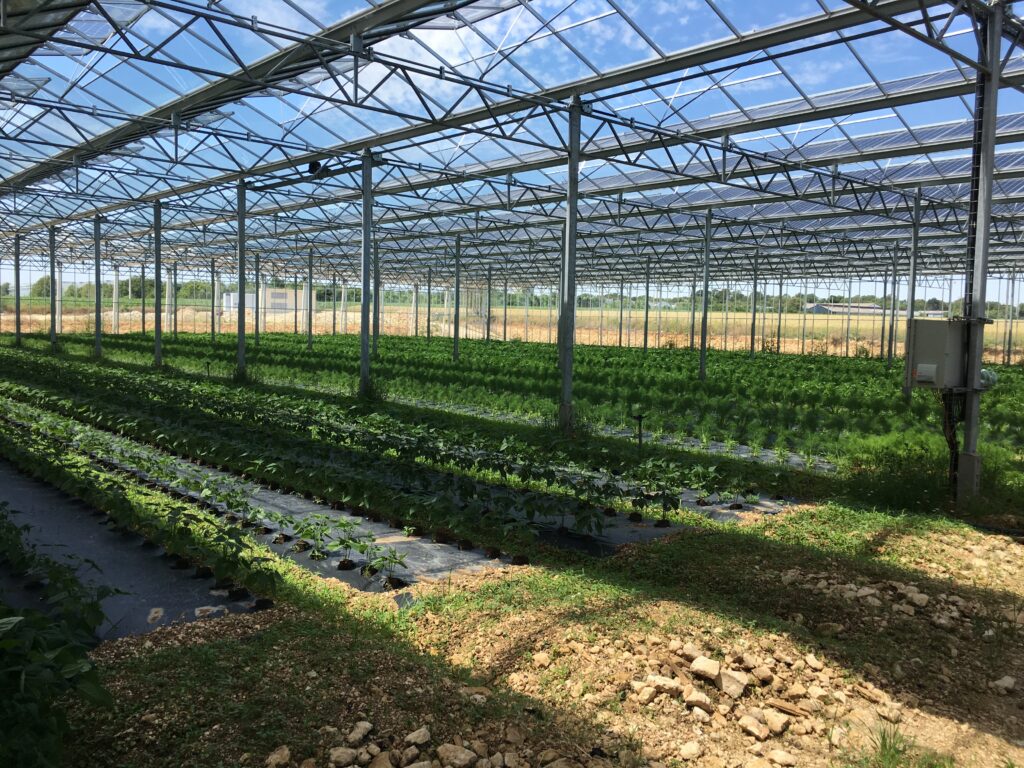 serre photovoltaïque