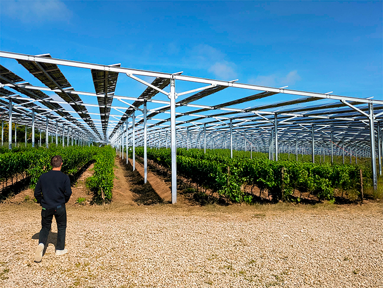 Ombrières agricoles solaires