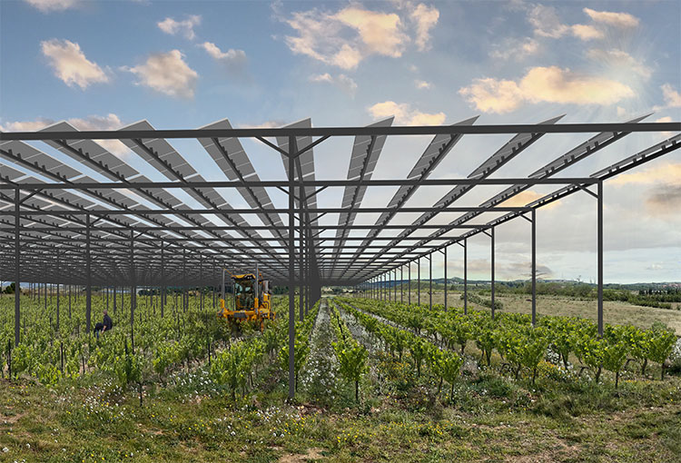 abri climatique solaire sur culture vigne