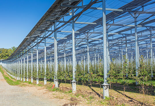 agrivoltaisme abri climatique sur pommier